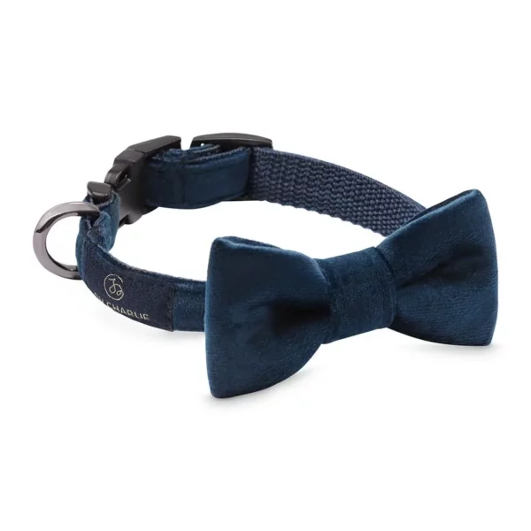 Ovratnica Glam Bow-tie