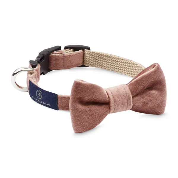 Ovratnica Glam Bow-tie