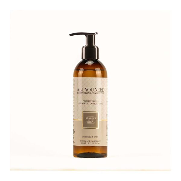 always-my-all-you-need ALWAYS All You Need Conditioner